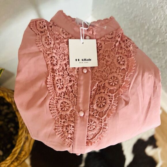HL AFFAIR Lace Panel Long Sleeve Blouse Top, Romantic Pink/Blush Size Large, NWT - Picture 6 of 11